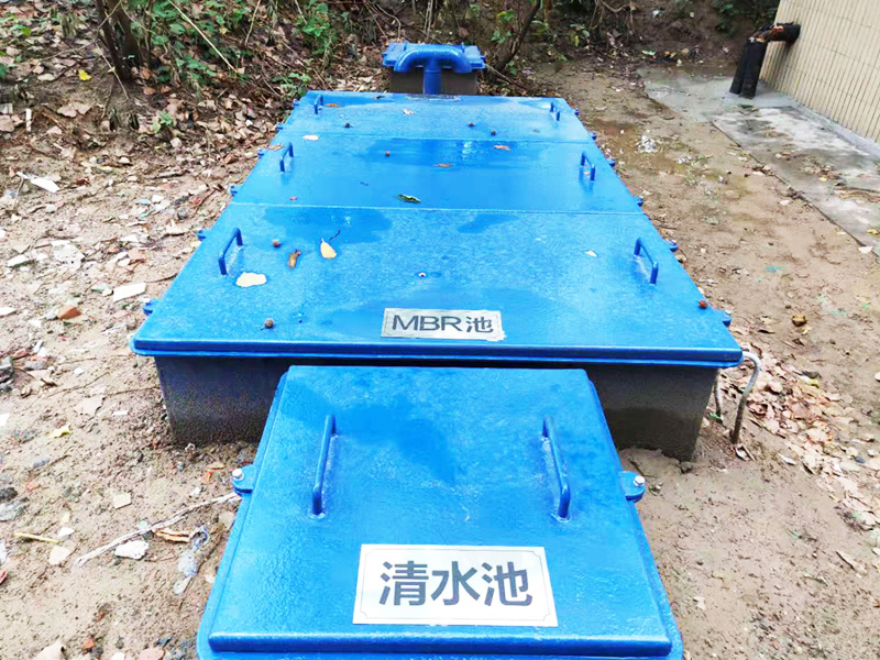 &#108;&#101;&#121;&#117;&#20048;&#40060;